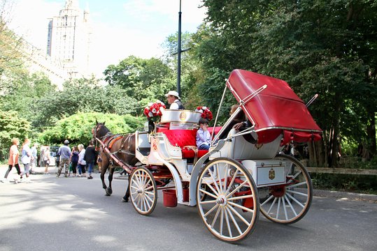 Tour image 3