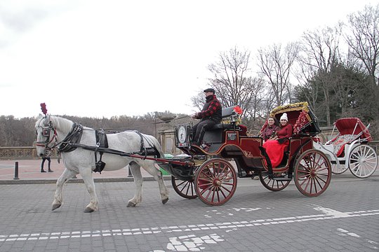 Tour image 10